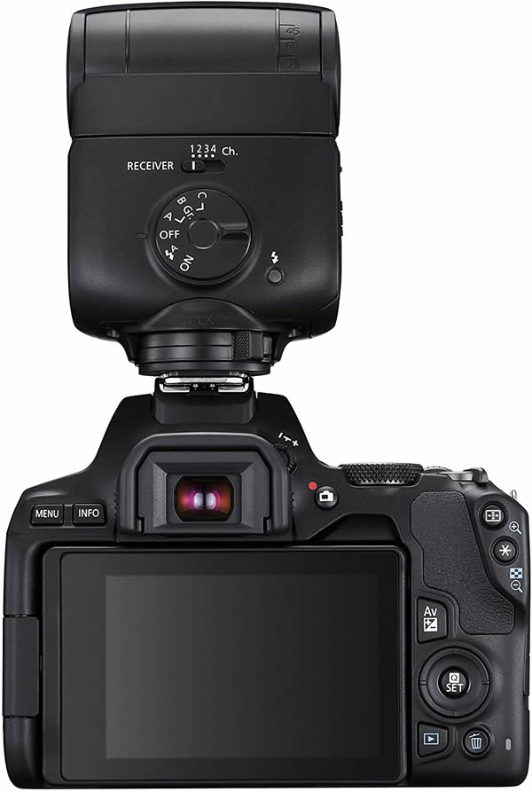 Canon EOS 250D - Cámara Digital (24,1 MP, 6000 x 4000 Pixeles, CMOS, 4K  Ultra HD, Pantalla táctil) Negro : : Electrónica