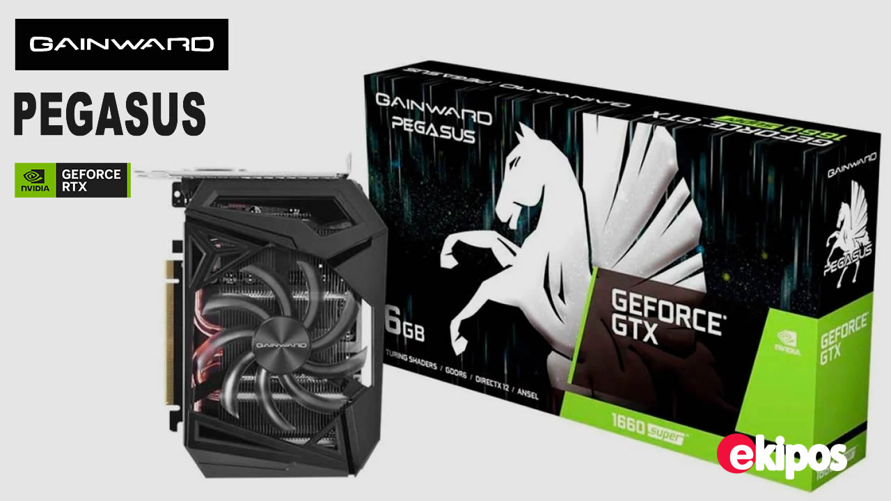Gainward Pegasus GeForce GTX 1660 Super  6 GB    