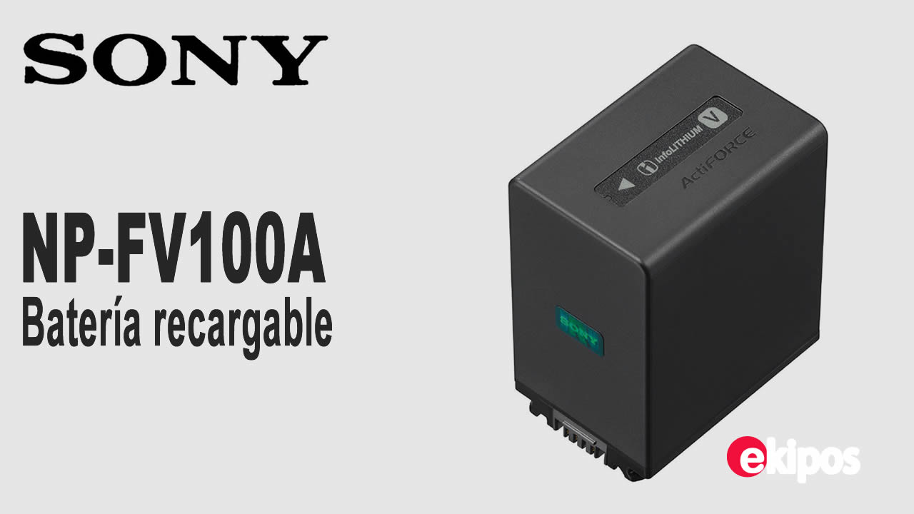 SONY NP-FV100A Batería 