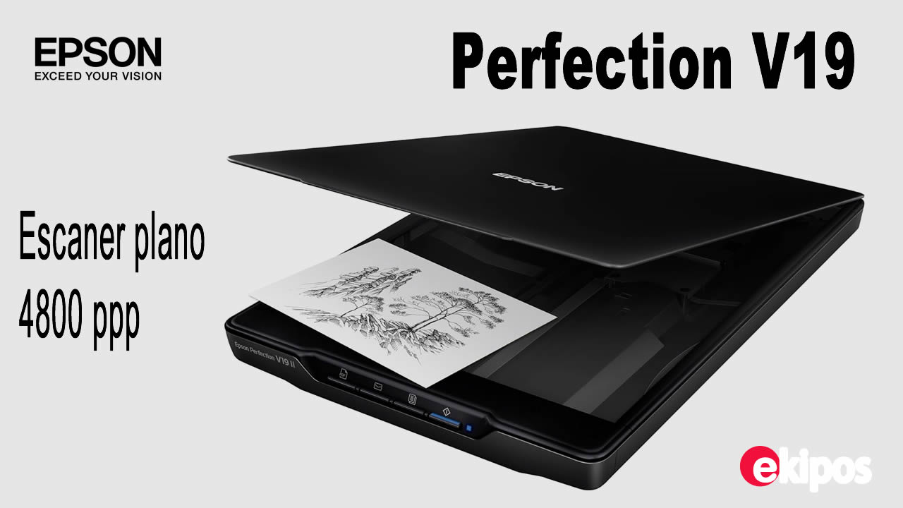 EPSON Perfection V19 