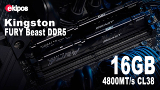 Kingston Technology Fury Beast RGB 16GB 4800MT/s DDR5 CL36 Desktop Memory Single Module KF556C36BBEA-16   
